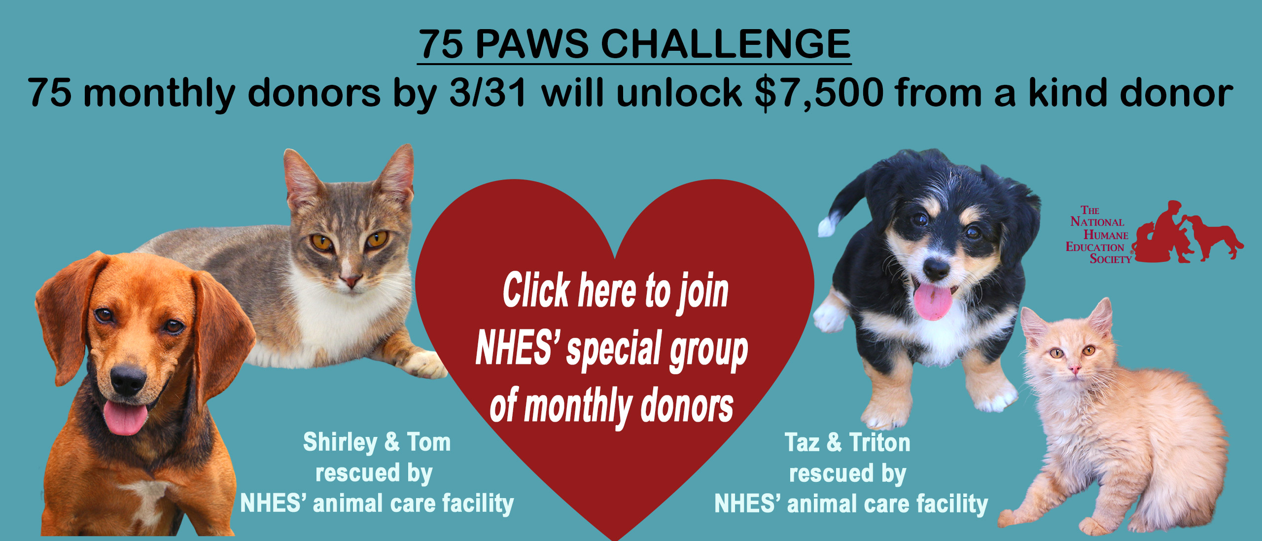 NHES-Slider-for-Paws-75-with-NHES-burgundayheart