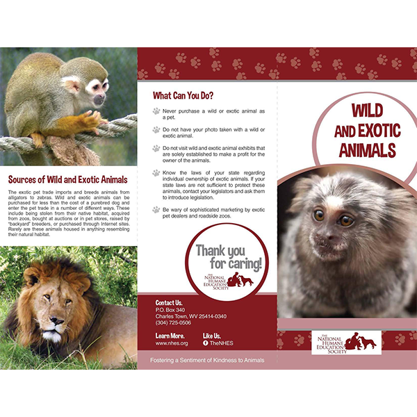 Wild and Exotic Animals - National Humane Education Society