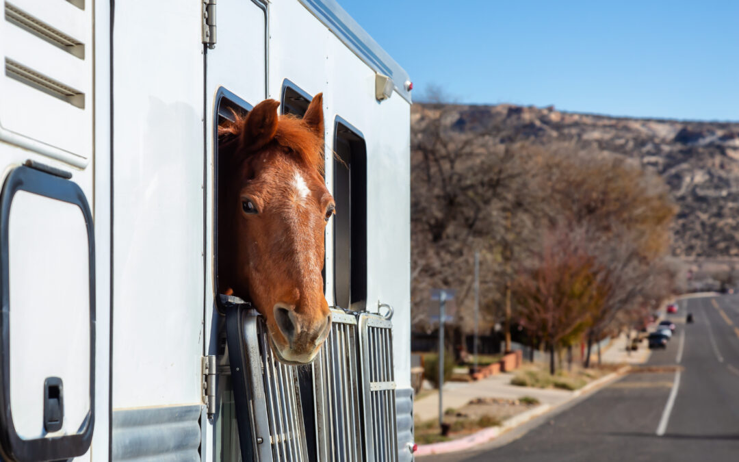 U.S. House Introduces Horse Transportation Safety Act