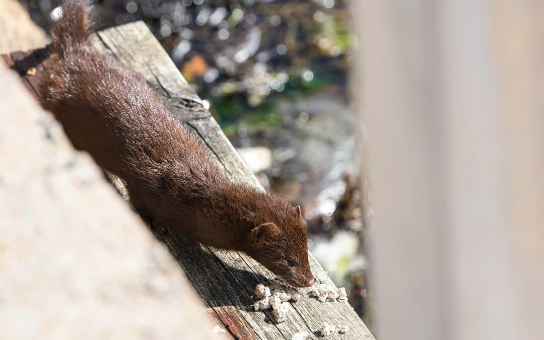 Major Department Stores Are Making Major Humane Changes