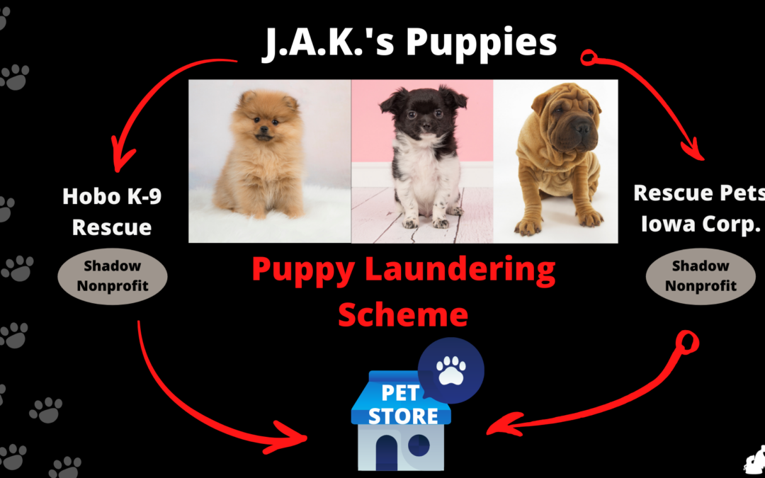 California Introduces New Legislation to Strengthen Its Puppy Mill Ban