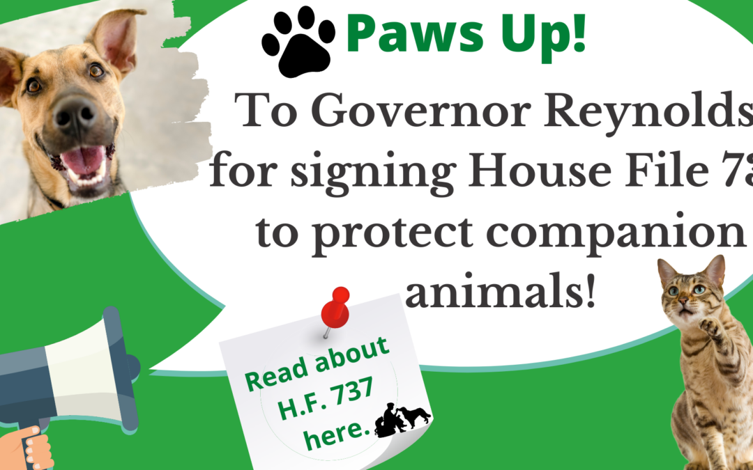 Update: Companion Animals Are Better Protected Thanks to Governor Reynolds!