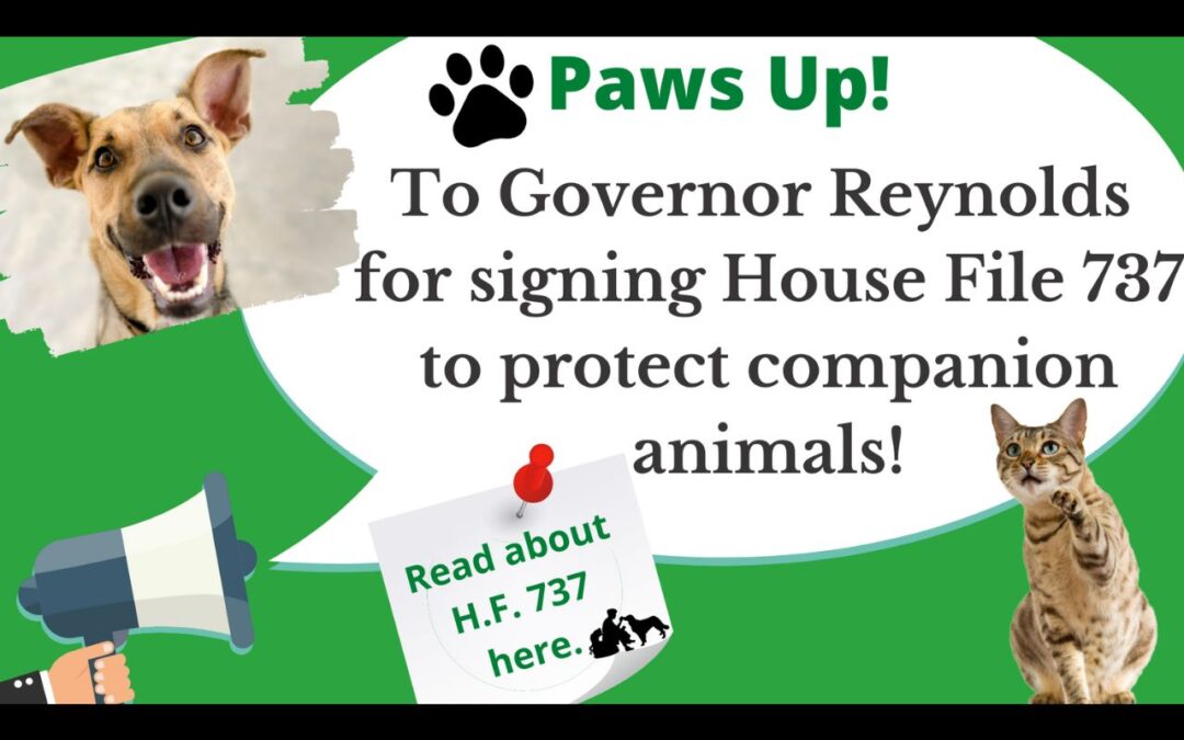 Update: Companion Animals Are Better Protected Thanks to Governor Reynolds!