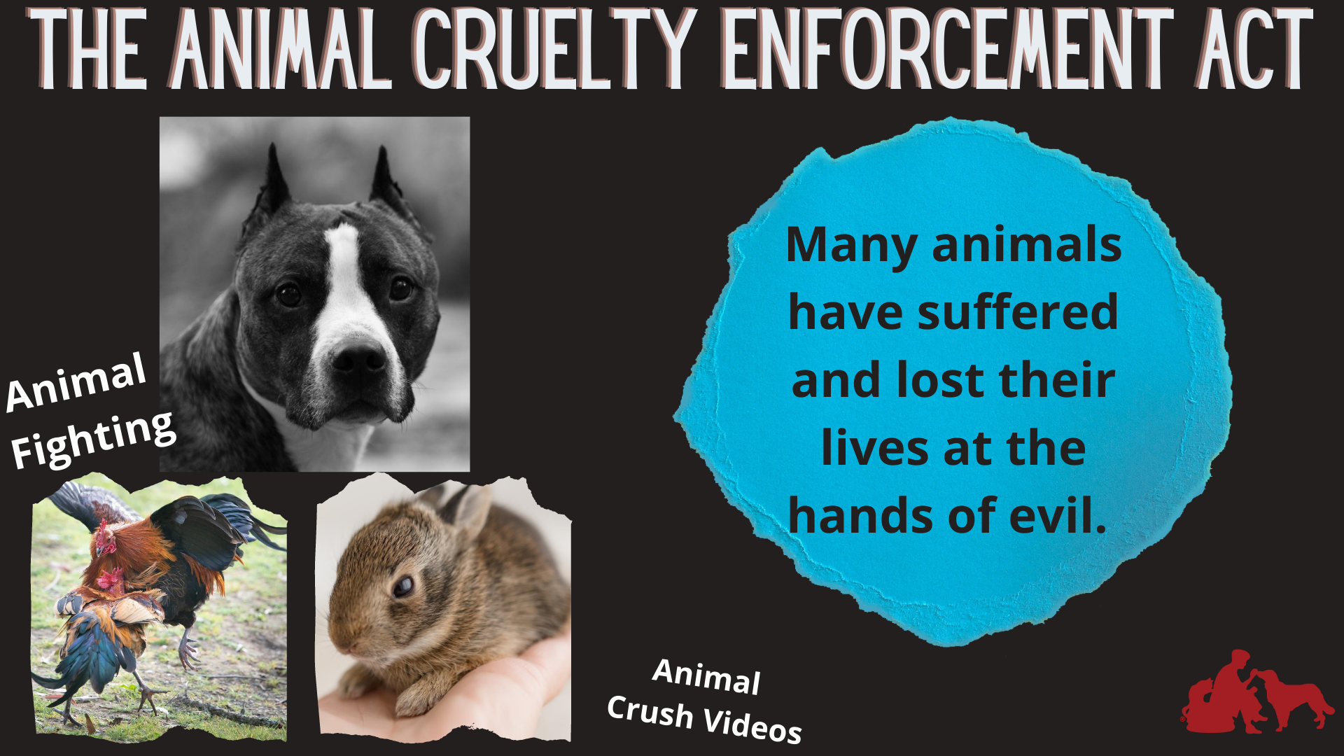 Representative Neguse Introduces the Animal Cruelty Enforcement Act