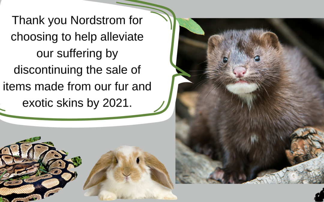 Nordstrom Will Cease to Sell Fur & Exotic Animal Skin Items by 2021