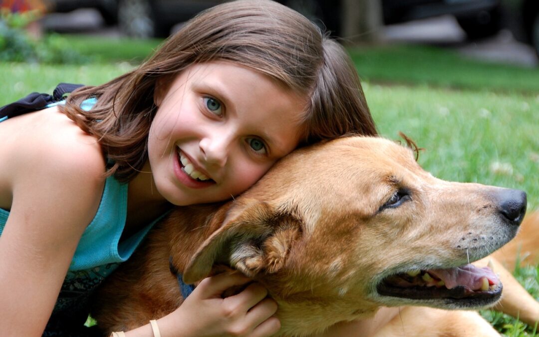 Ohio Legislature Proposes Two New Animal Welfare Laws