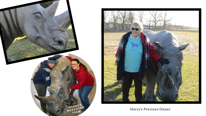 This image has an empty alt attribute; its file name is Harry-The-Black-Rhino-4-667x375.png