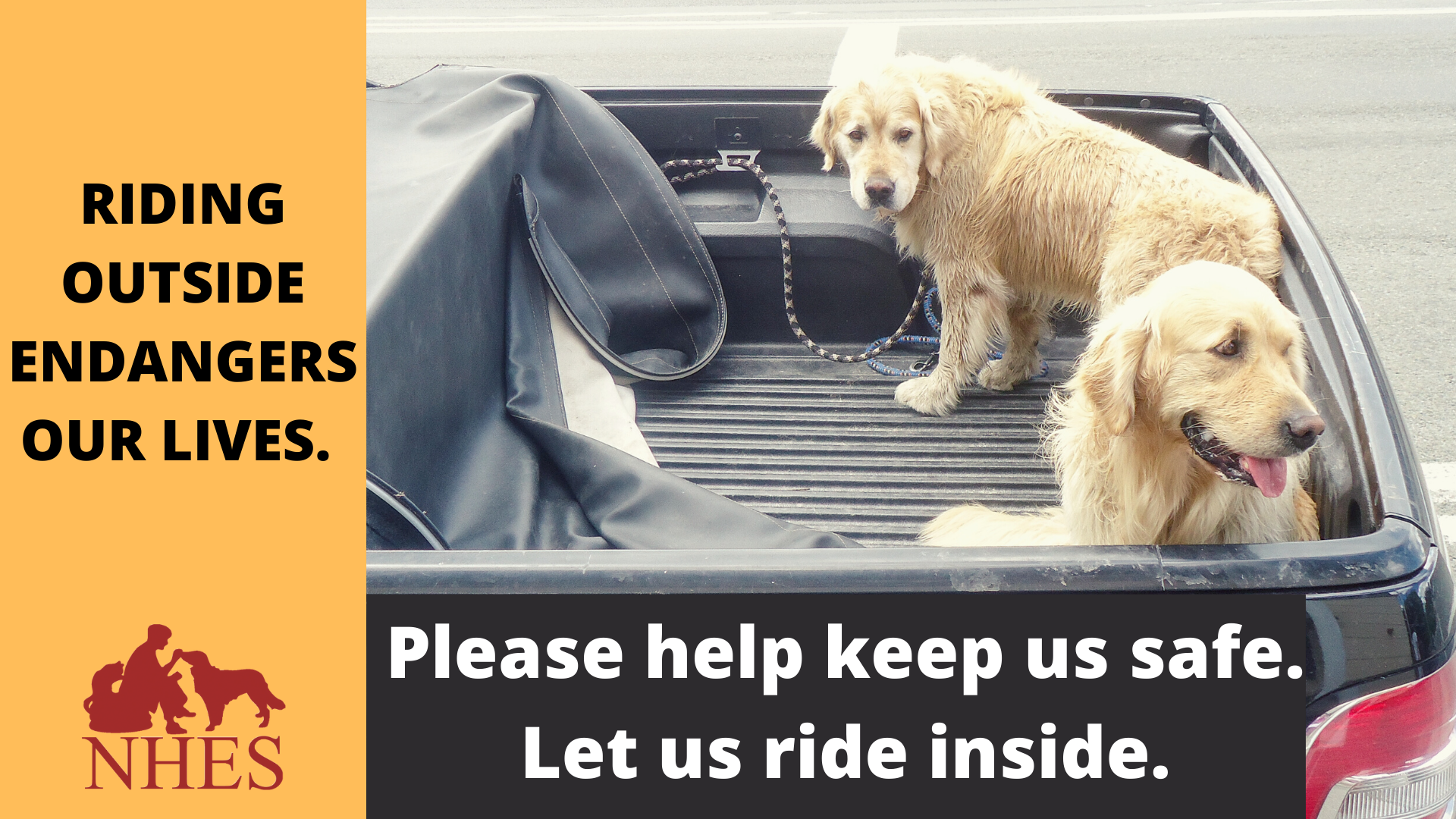 Utah Bill Would Have Protected Dogs Riding in Truck Beds