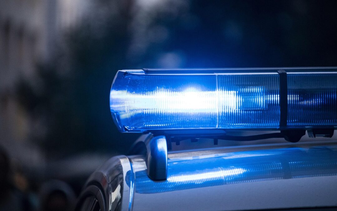 Update: Kirby and Quigley’s Law Reintroduced in New York