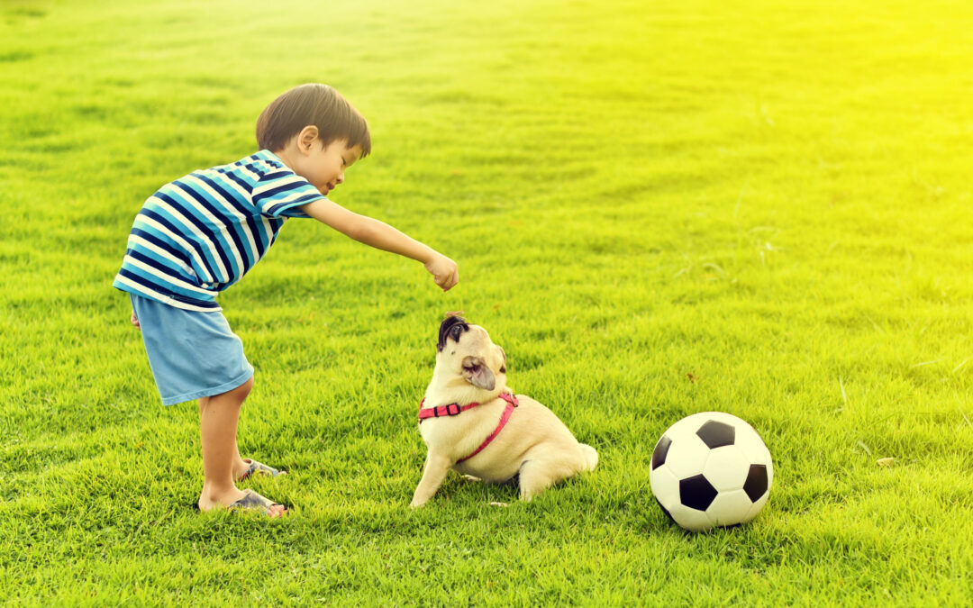 Pet Protection Act Would Make Dogs Safer in Oklahoma