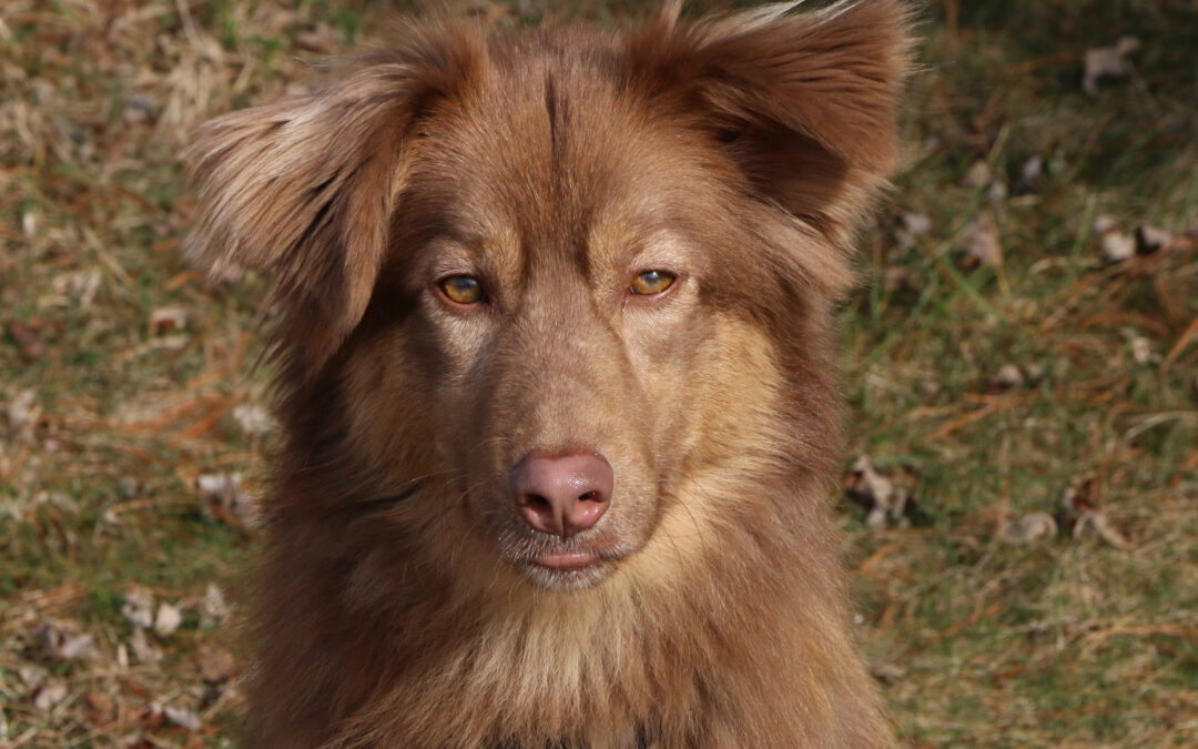 Yukon