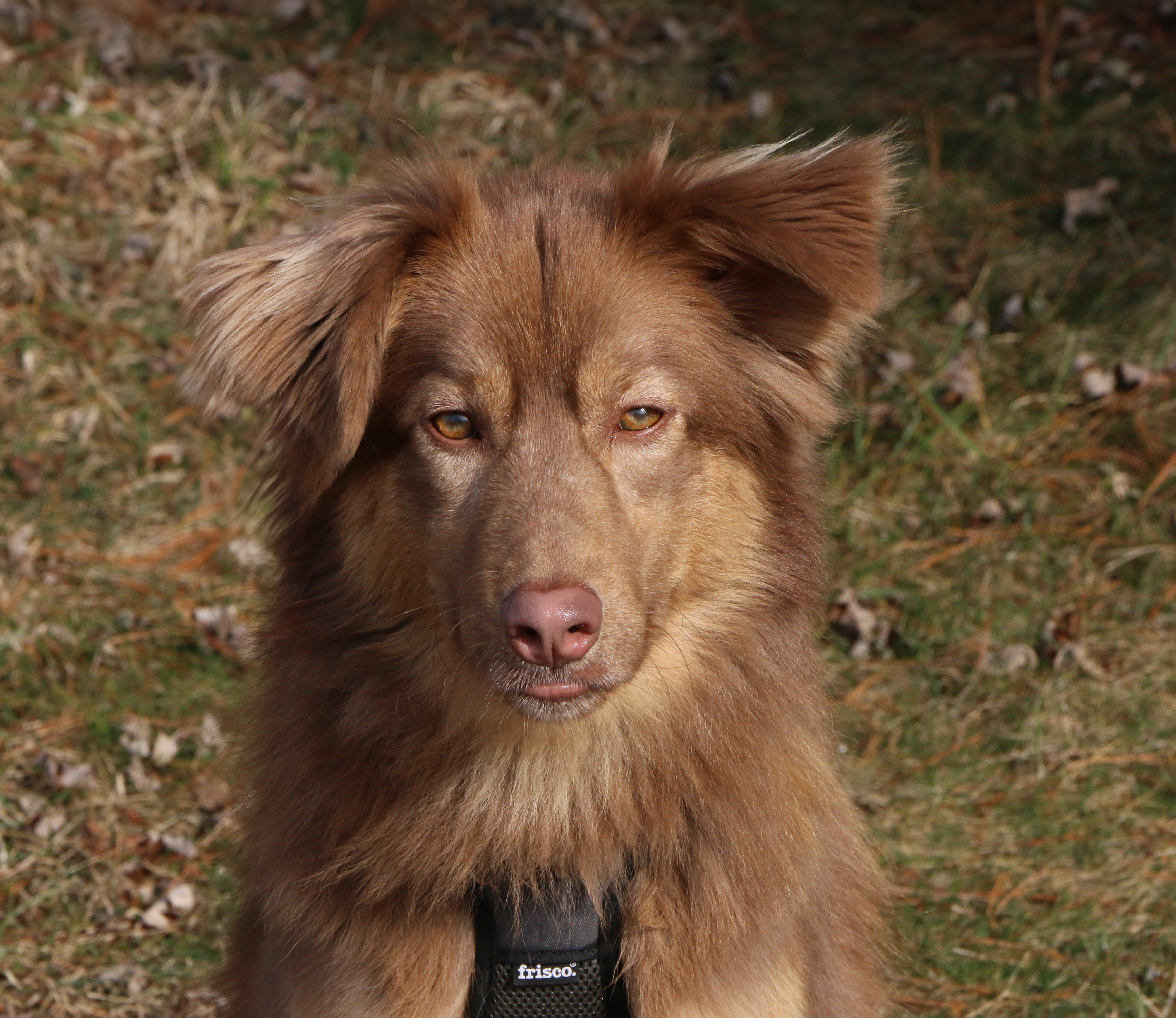Yukon
