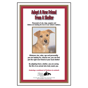 Adopt a New Friend