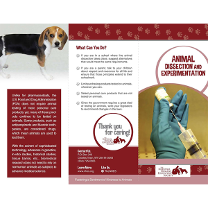 Animal Dissection