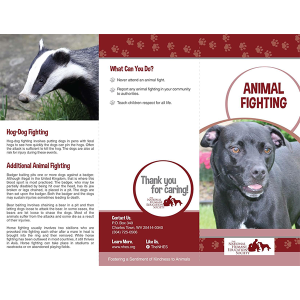 Animal Fighting