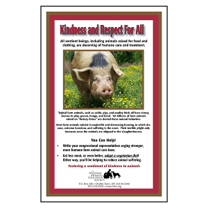 Kindness and Respect for All