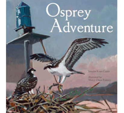 Osprey-411x375