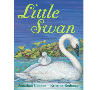 Swan-411x375
