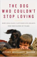 dog_stop_loving-e1439167321596