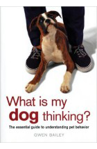 dog_thinking-e1439171862920