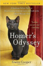 homers_odyssey-e1439169057421