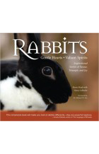 rabbits-e1439171086303