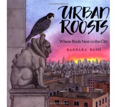 urban-roosts-411x375