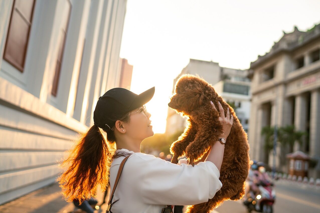 Ollie’s Law Will Set a New Standard for Kennel Safety