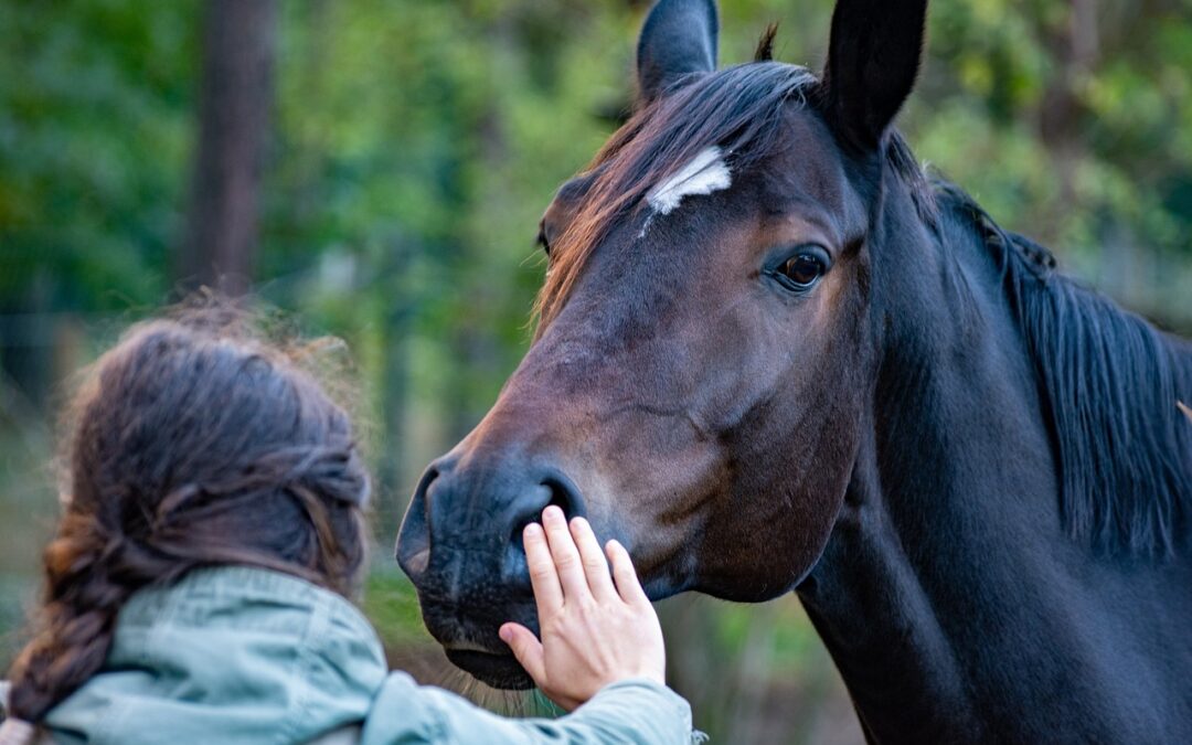 Vermont Fills the Gaps With New Division of Animal Welfare – National Humane Education Society