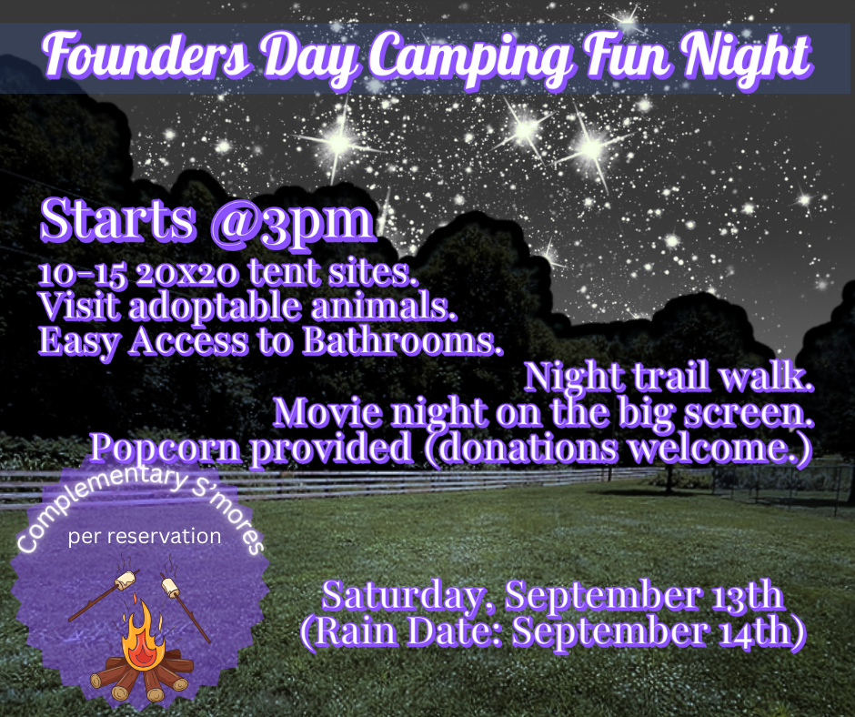 Camp Night