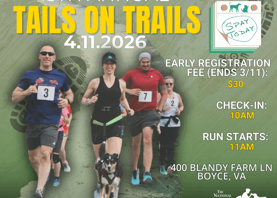 Tails on Trails
