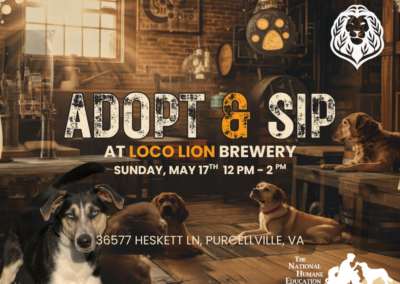 Loco Lion Brewery