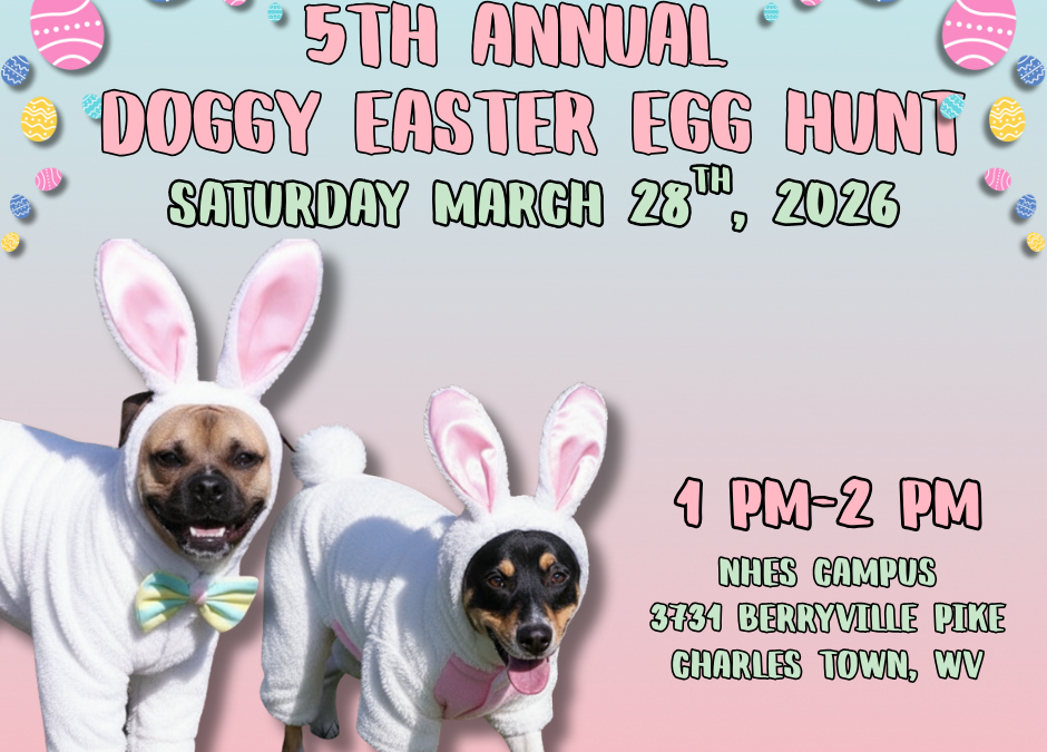 Doggy Easter Egg Hunt