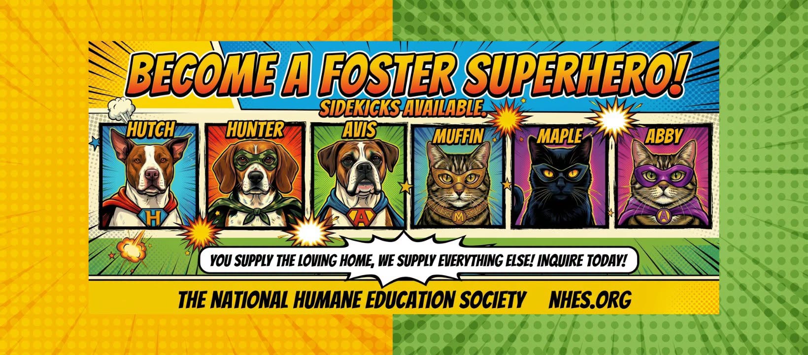 Nhes foster