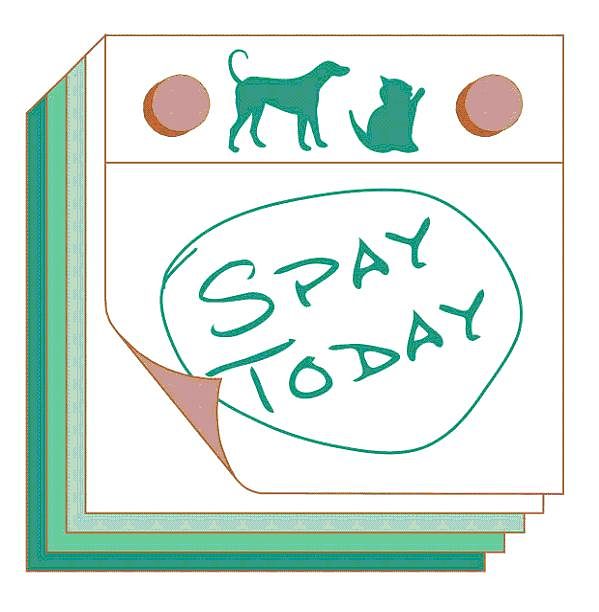 Spay Today logo